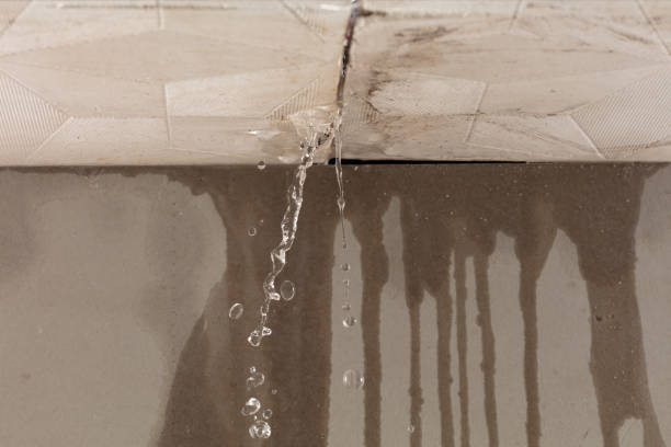 Professional Burst Pipe Cleanup technician working in Chapmansboro, TN